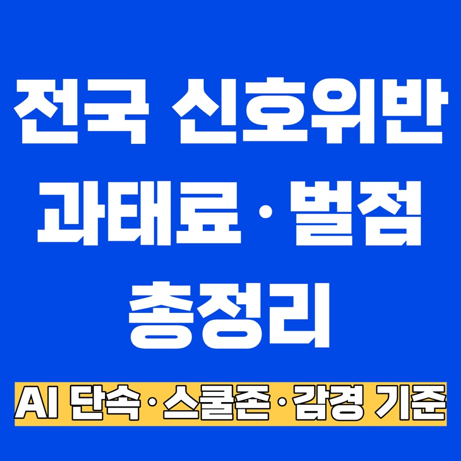 전국 신호위반 과태료&middot;벌점 총정리｜AI 단속&middot;스쿨존&middot;감경 기준