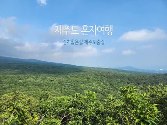 혼자여행가기좋은곳 국내 직접 가봐서 좋았던 곳 추천 TOP3 나홀로 여행의 매력_10