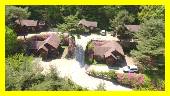 국립휴양림 선호객실&amp;#44; 국립자연휴양림 혼잡시간&amp;#44; 여름휴가 국립시설&amp;#44; 국립자연휴양림 온라인접수&amp;#44; 성수기 국립휴양림 필독&amp;#44; 국립휴양림 여름 혼잡도&amp;#44; 국립휴양림 성수기 방배정&amp;#44; 국립휴양림 지역별 정보