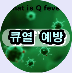 큐열 증상, 큐열 치료 방법, 급성 큐열 vs 만성 큐열 차이, 큐열 진단 검사, 코시엘라 버네티 치료, 큐열 예방 자연약초, 큐열 감염 경로, 큐열 백신, Q Fever Korea 통계, 만성 큐열 합병증