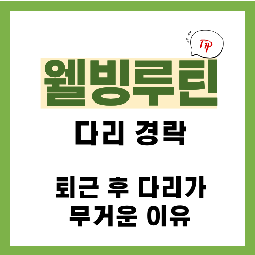 5편. 다리 경락 흐름 정리｜퇴근 후 다리가 무거운 진짜 이유