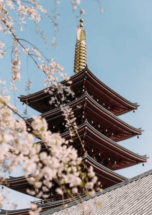 마이뱅크 여행자 보험 할인 쿠폰