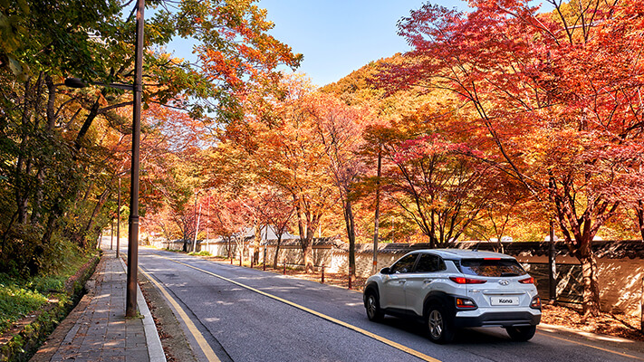 서울 근교 드라이브 코스
