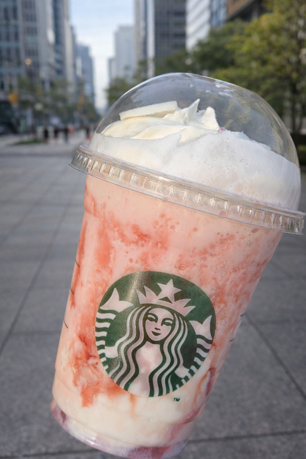 스타벅스 체리블라썸 백도 크림 프라푸치노