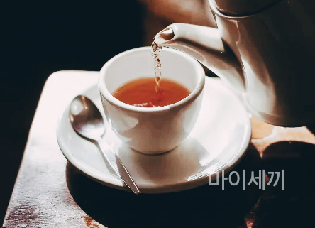 담터 결명자차