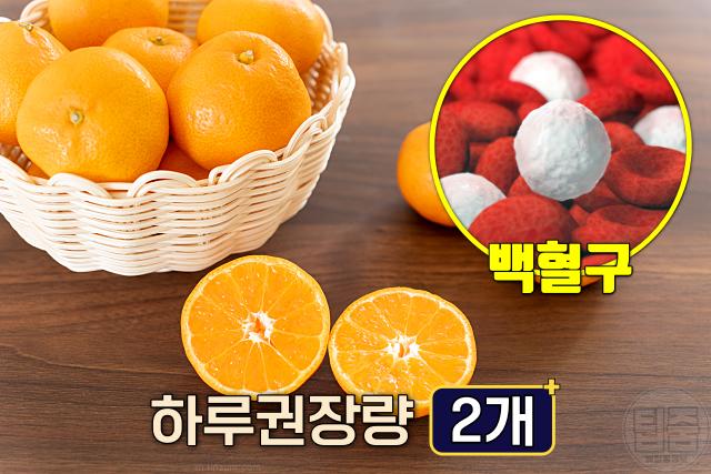 면역력 올리는 음식 귤 하루권장량
