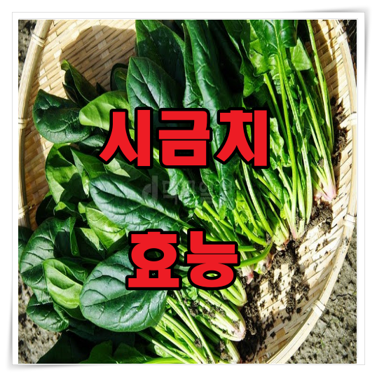 시금치 효능