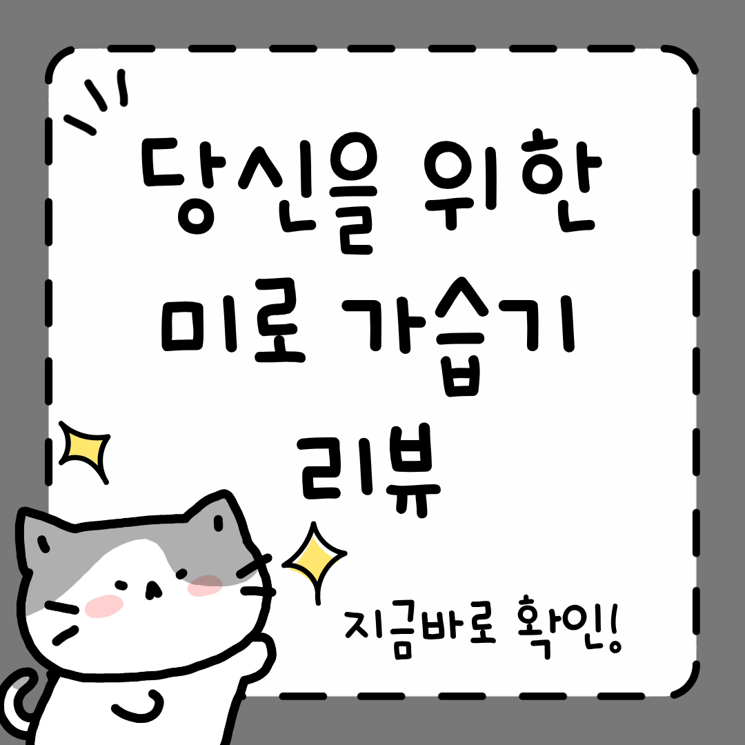 미로 가열식 가습기