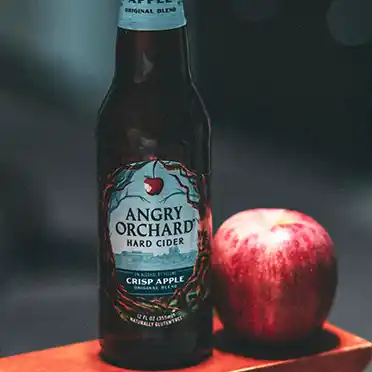 사과 식초의 지방 대사