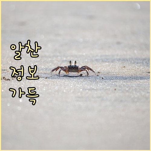선유동 생활쓰레기 종류별 완벽 정리!..