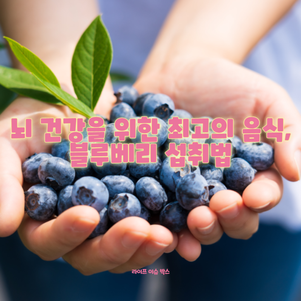 블루베리의 놀라운 효능