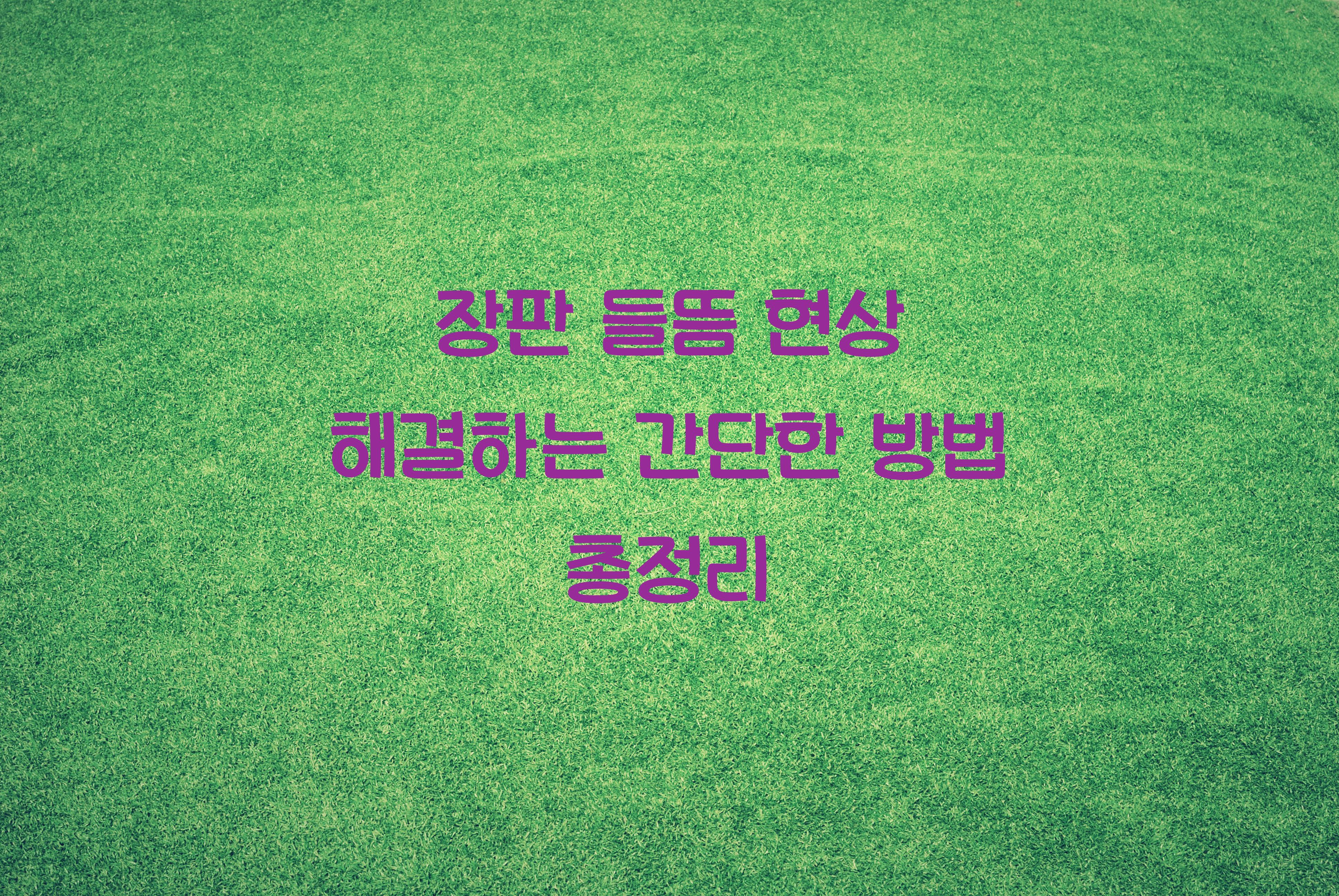 장판 들뜸 현상 해결하는 간단한 방법