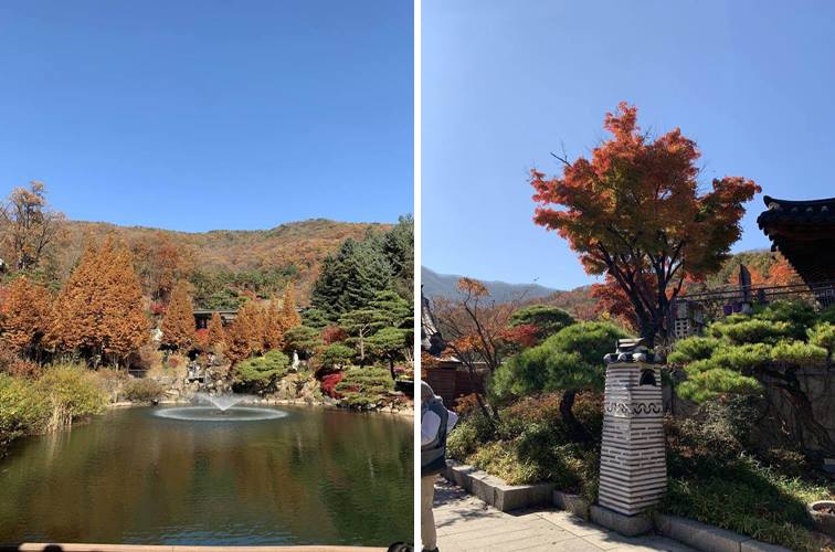 호수 및 단풍 뷰