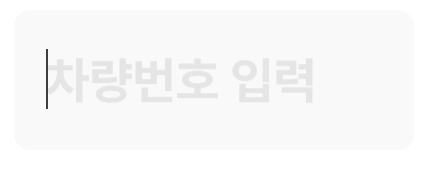 차량번호 입력