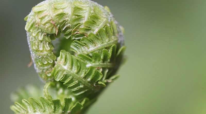 건설현장 전기설비, 안전점검