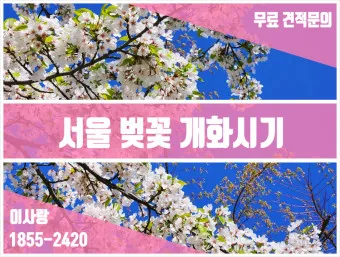 서울 벚꽃 명소 추천 베스트10_19