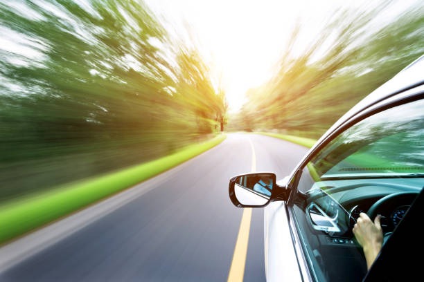 광복절-특별사면-운전면허-벌점-삭제