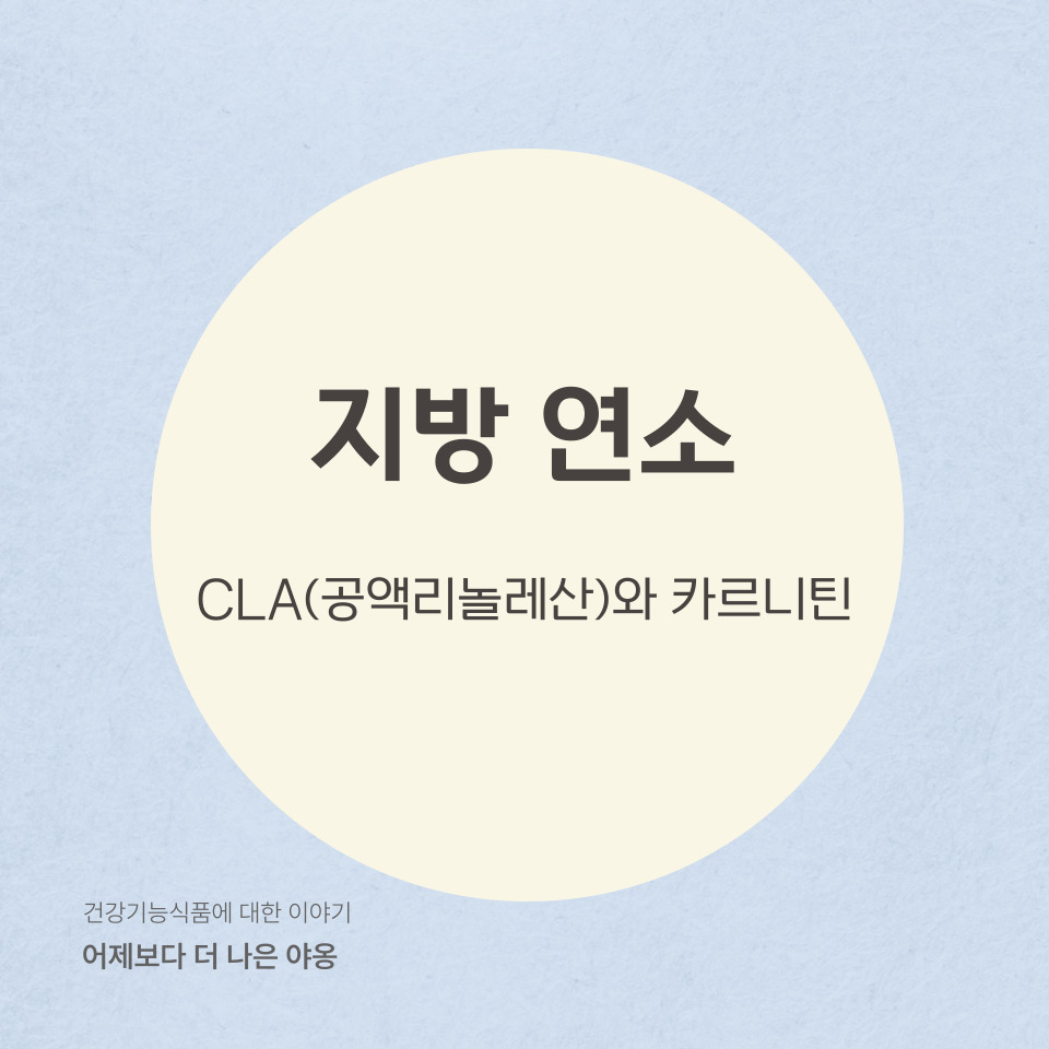 지방 연소를 돕는 기능성 원료: CLA(공액리놀레산)와 카르니틴