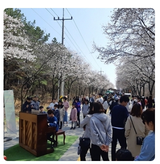 벚꽃 축제 일정 2024 벚꽃 만개 시기