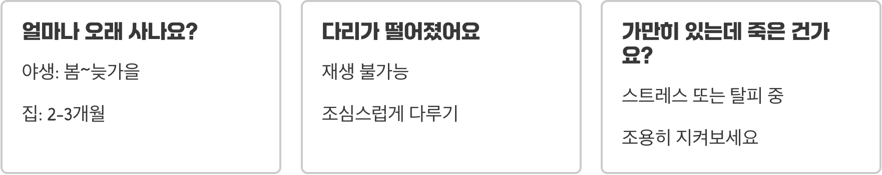 초보자가 방아깨비 키울 때 가장 많이 하는 실수 5가지