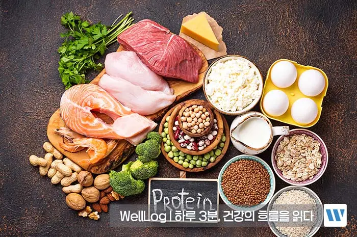 알부민 수치저하 부족증상 부작용 복용법