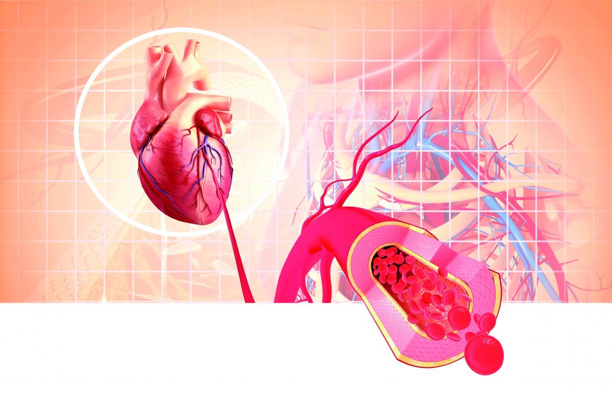 혈압 낮추는법 낮추는 음식 차 혈압이 높을때 증상