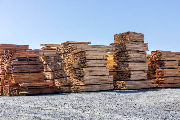 목재소에 나무가 쌓아져 있는 사진