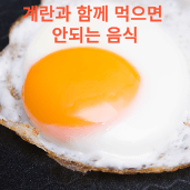 계란과함께먹으면안되는음식
