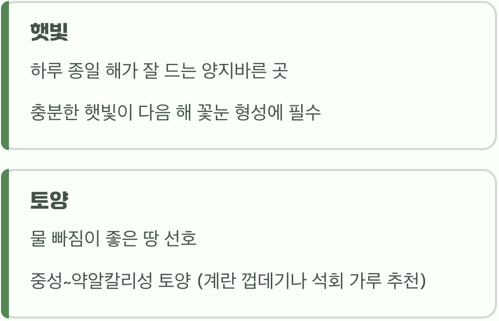 향기를 만드는 조건 (햇빛과 흙)