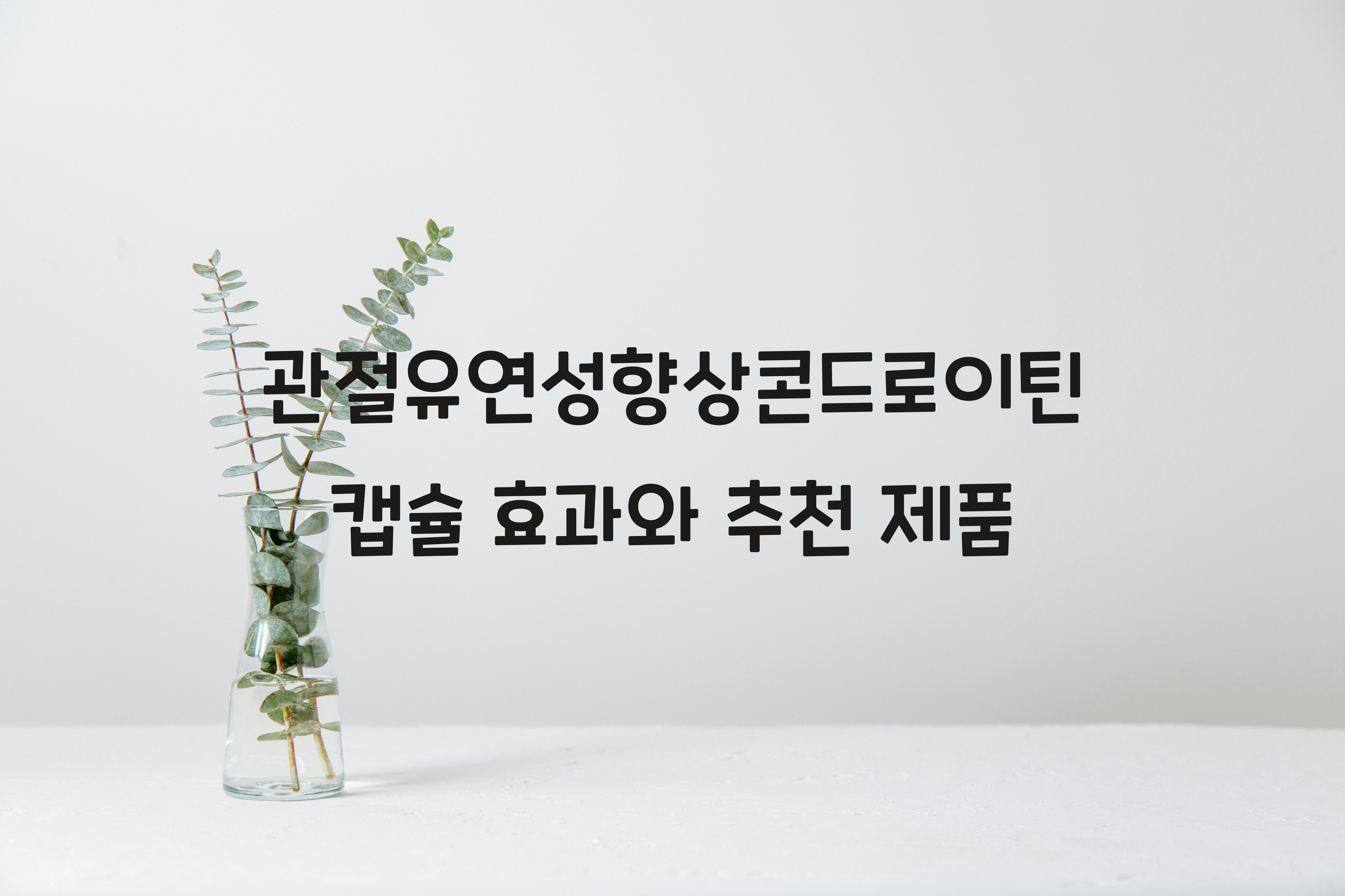 관절유연성향상콘드로이틴캡슐