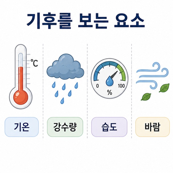 기후를 파악할 때 기온과 강수량, 습도와 바람 같은 요소를 장기간 관찰한다는 내용을 표현한 이미지
