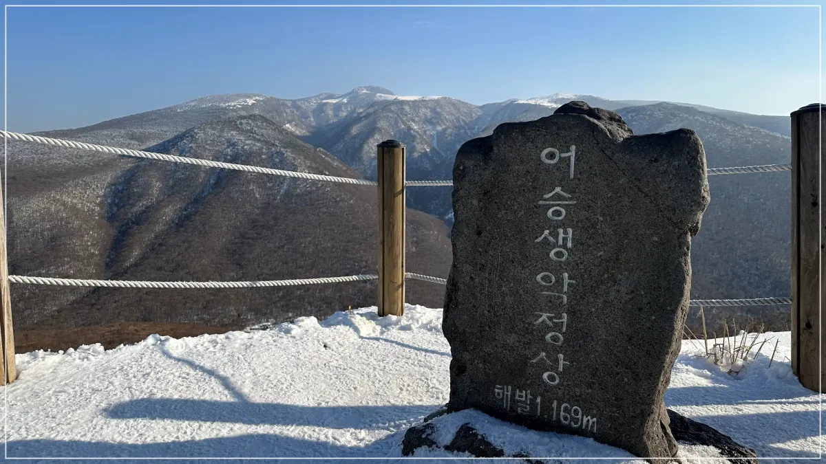 한라산이 뒤로 보이고 어승생악 정상석이 있다.