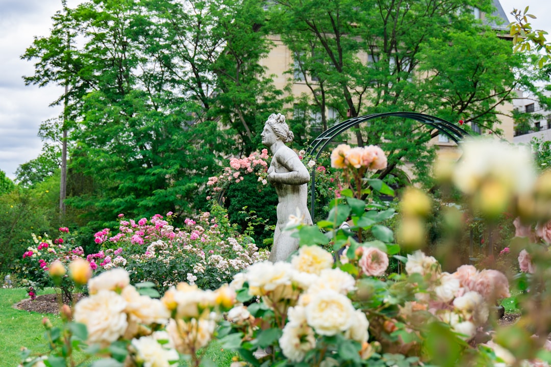 'Secret Garden'