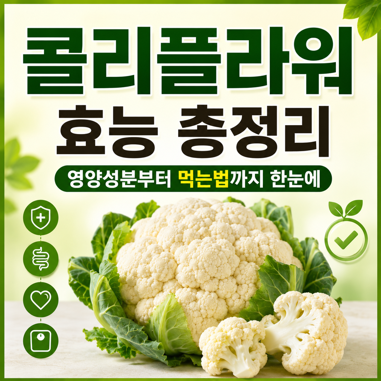 콜리플라워 효능