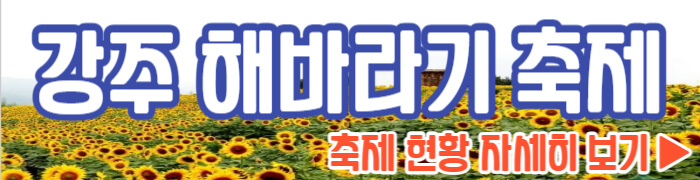 강주 해바라기 축제 현황 자세히 보기