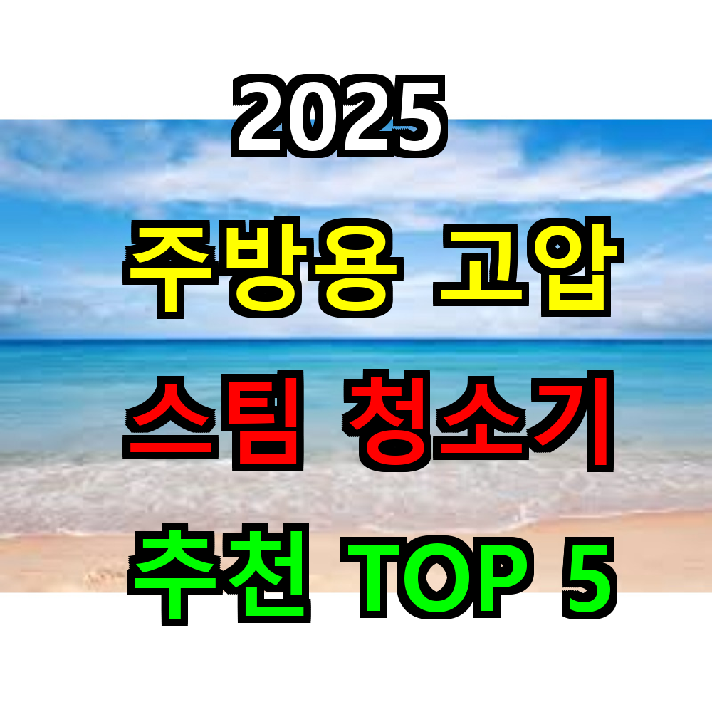 2025 주방용 고압 스팀 청소기 추천 TOP 5