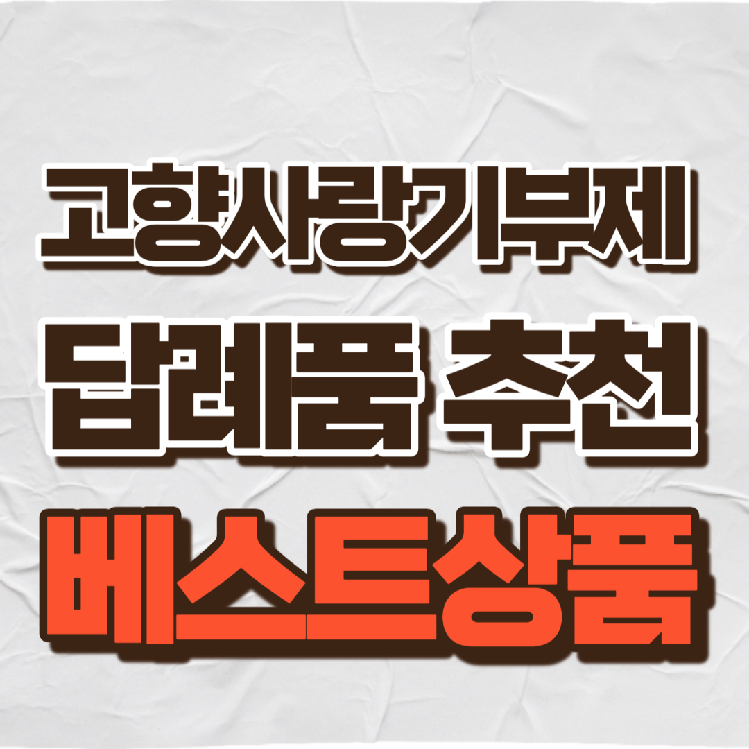 고향사랑기부제 답례품 추천