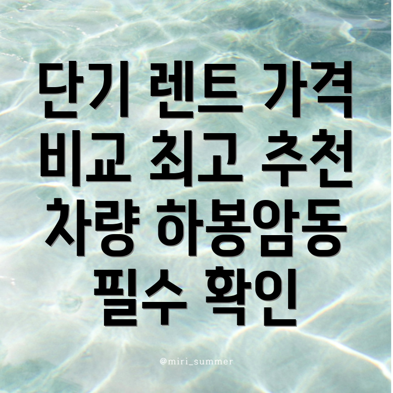 단기렌트카 가격비교