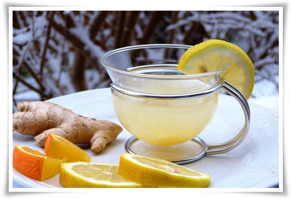 &quot;10월 하순, 생강 수확 하세요!&quot; 생강의 매력과 건강 효능, 최적의 수확시기! 생강의 효능과 활용!