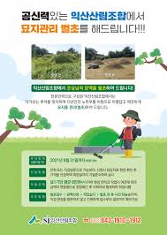 벌초대행 가격비교