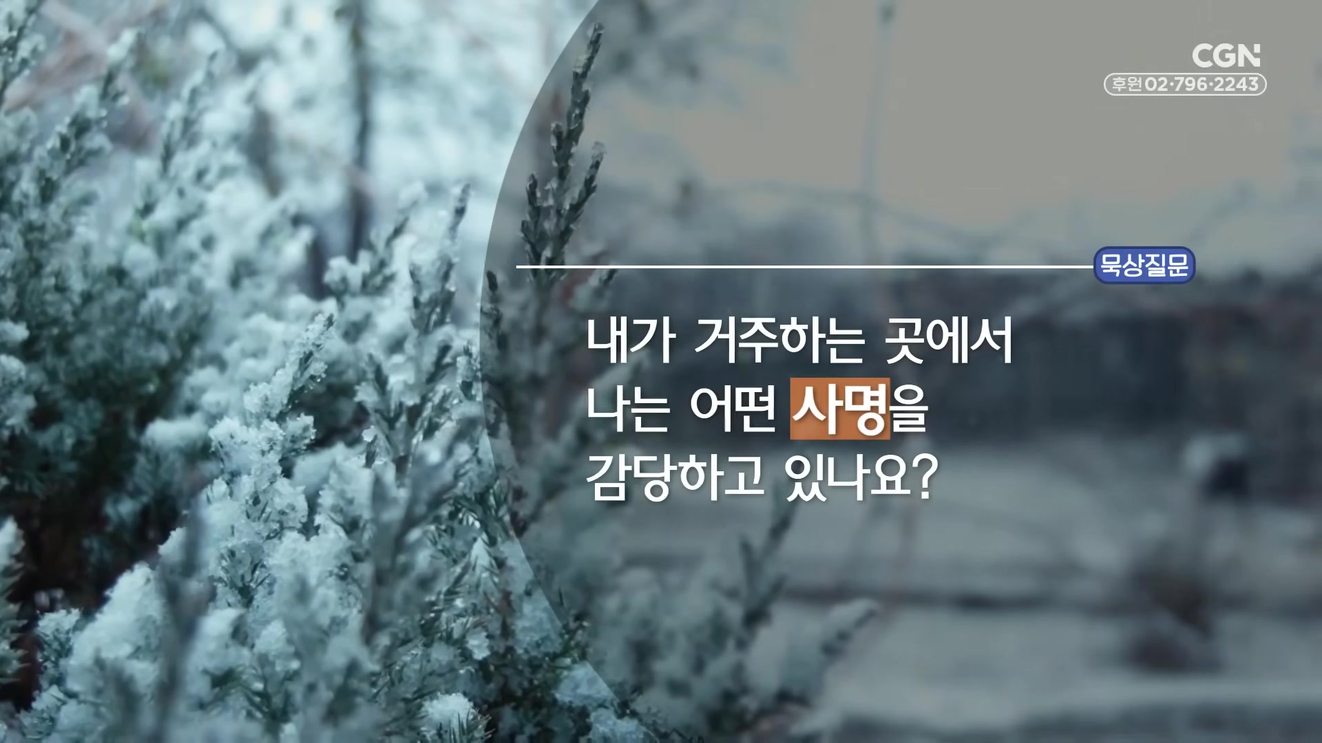 내가 거주하는 곳에서 나는 어떤 사명을 감당하고 있나요?