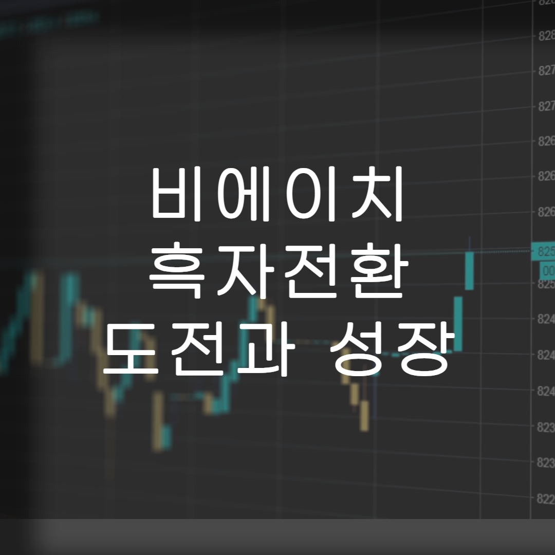 주식-비에이치
