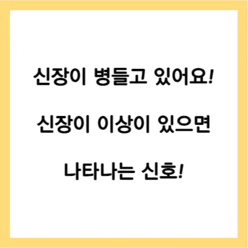 신장이상 증상