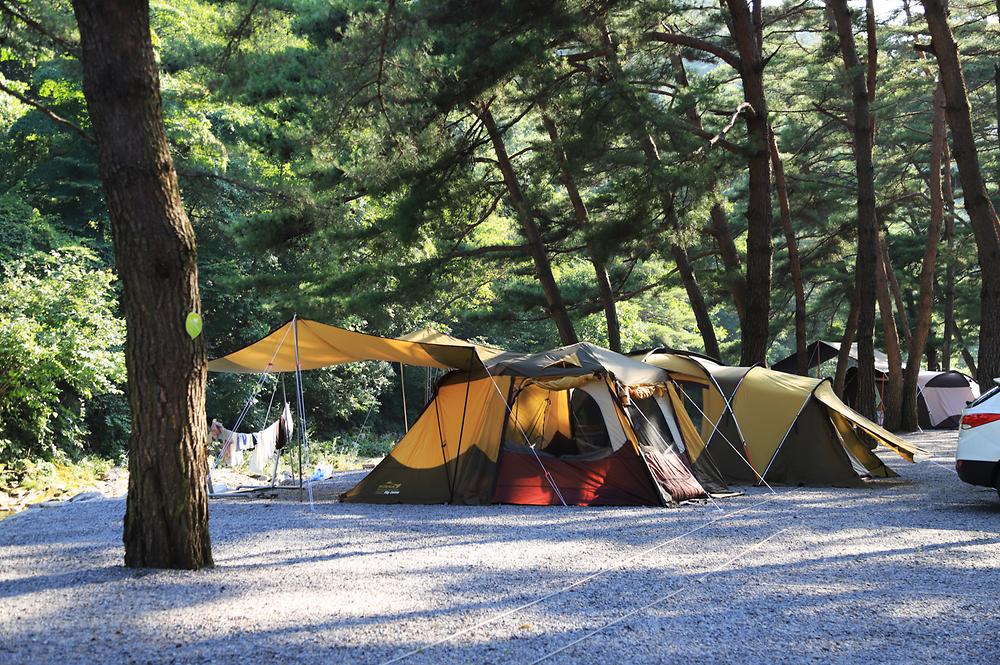 인생캠핑장, 영월 솔밭캠프장 소개