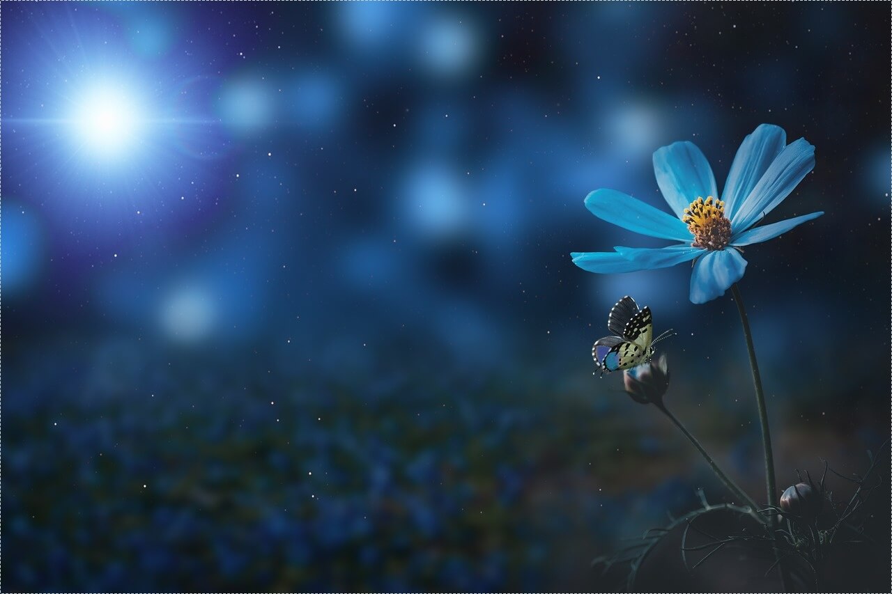 이삭토스트 창업비용