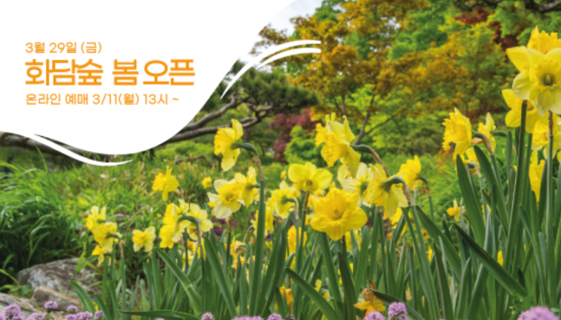 화담숲 봄 티켓오픈
