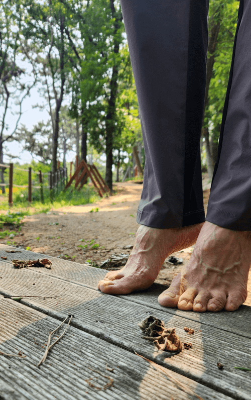 간암 9.12cm/당화혈색소 9.4 &rarr; 5.6 극복기 4편(10개월 만에 당화혈색소 5.6% 달성 비법)