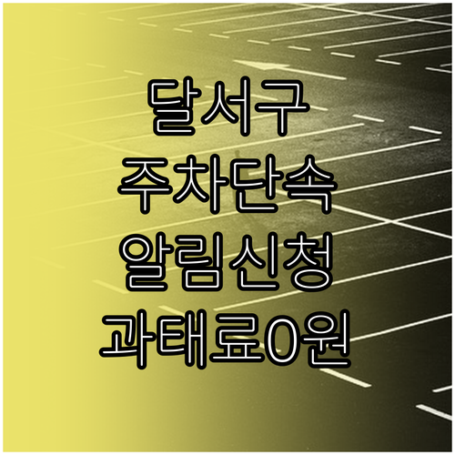 달서구 주정차 문자 알림 서비스 신청..