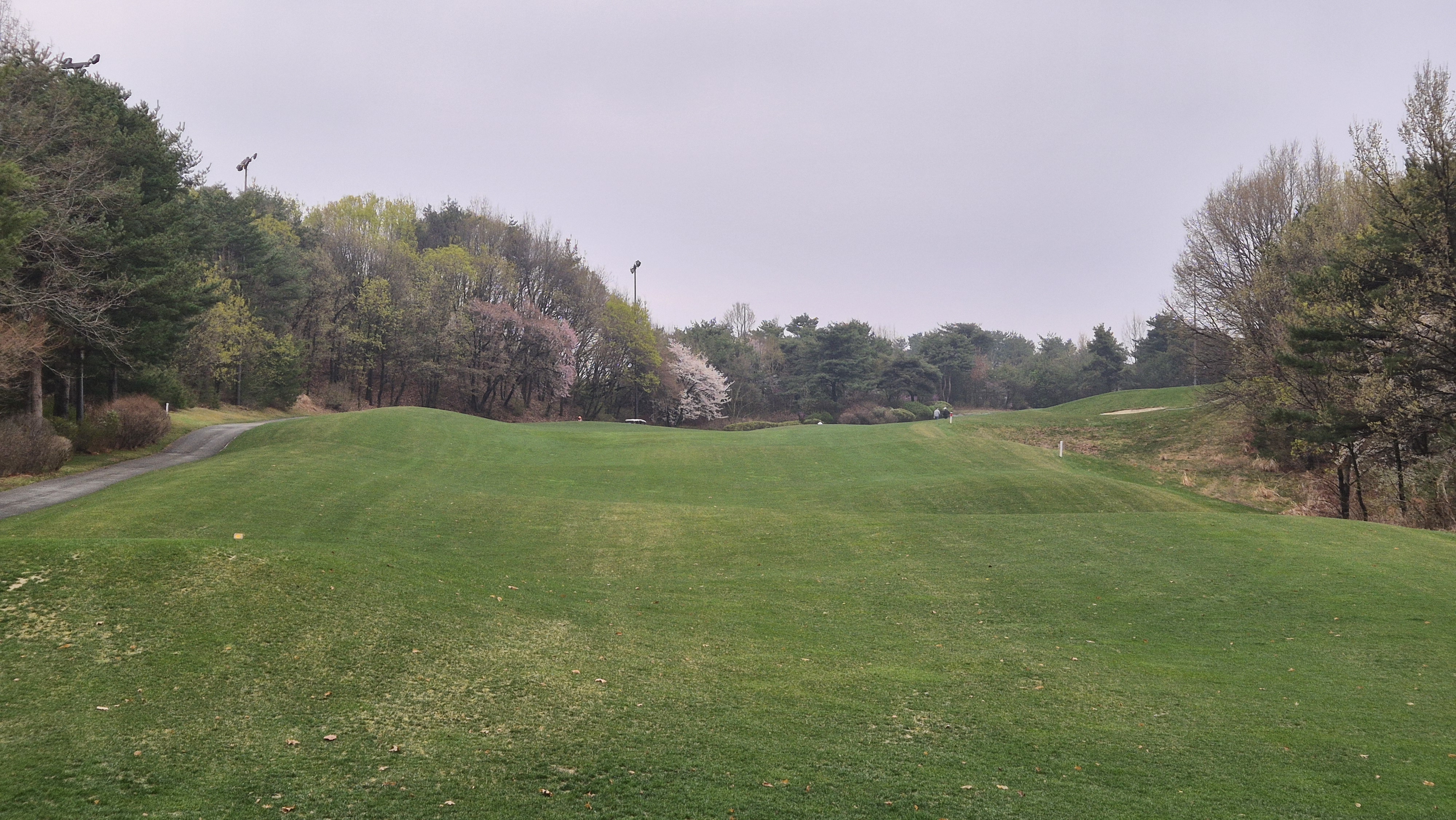 레인보우힐스cc 동-남 코스 사진 및 공략 정보