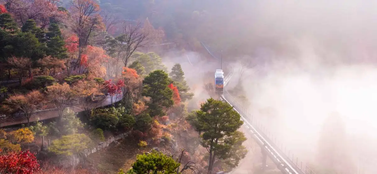 화담숲 가을 단풍 안개